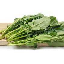 [특급] 루꼴라 500g, 1개