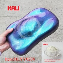 카멜레온 안료 진주 페인트 분말 10g HLYY0230 자동차 또는 공예의 색상 변경 DIY 아름다운 효과, 22 HLYY0238
