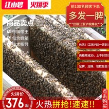 토종벌통 양봉벌통 양봉자재 꿀 됫박 벌통 절강 중국 꿀벌 식민지는 중국 꿀벌 야생 꿀벌 왕자 비장 꿀벌 피부 벌집 판매를위한 비 케이지 꿀벌의 전체 세트와 함께 살고 있습니다, [04] 5 왕과 벌집이 있는 비장