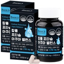 본트비 칼륨 포타슘 아쿠아 전해질 밸런스, 120정, 2개