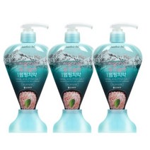 죽염 히말라야 핑크솔트 펌핑치약 아이스카밍민트, 2개입, 285g