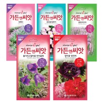 야생화씨앗 수입꽃 100선 가든엔씨앗 톱풀파스텔 배초향 알케밀라 제비고깔 수레국화 제라늄, 로단세(종이꽃)