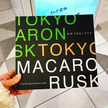 [이라운드몰]위시본 도쿄 마카롱 러스크 21개입, 단품, 옵션선택