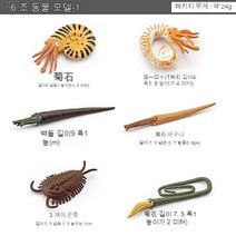 고래상어 범상어 청고래 해양생물 모형 심해 선사시대 삼엽충 동물 모형, BL-1114 6종 선사동물 124g