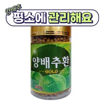 양배추환 300g 위에 좋은음식 장에좋은음식 성인 중년 노인 청소년 속쓰릴때 관리 식이섬유