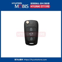그랜저TG 럭셔리순정 리모컨 폴딩키 (954303L600)