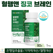 네츄럴플러스 혈행앤징코브레인 은행잎추출물 징코 비타민B 기억력 혈행 개선 비타민, 1박스, 90정