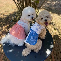 테이펫 강아지 고양이 개량 한복 S~3XL, 블루