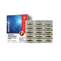 초임계 알티지 오메가3 비타민D 60캡슐 x 4개, 단품, 단품