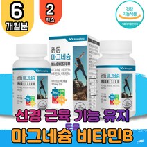 마그비 산화 마그네슘 정 비타민 B1 B2 B6 마그네숨 마그내슘 마그디 마그 마그슘 눈떨림 임산부 수유부 임신 준비 40대 50대 60대 코스트코 홈쇼핑 보충제 눈떨림 면역 신경 근육 기능 유지 영양제 2박스