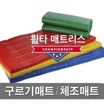 빅세일 [휠타매트리스] 90x180x6cm 구르기매트 체조매트 학교체육 유아체육 체육관매트 낙법 착지매트, 회색(Gray), 일반형..