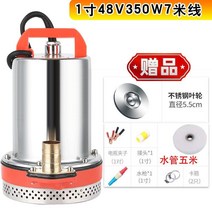 전동차 V24V 직류 잠복해 있다 O 펌프 48V60V 배터리 양수기 가정용 농용 선박용 우물이다 2523261583, 1인치 48V350W 7미선 스텐레스