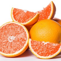 고당도 카라카라 오렌지 자몽 오렌지 M사이즈 10과 20과, 190g, 20개