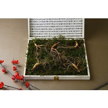 강원 진삼애 산양삼 9-10년근 5뿌리, 없음, 1개