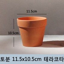 토분 화분 미니토분 다육이 테라코타[지름11.5cmX높이10.5cm] 수입도매