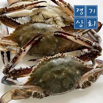 경기상회 국내산 가을 햇꽃게 숫꽃게 특대 대사이즈 급냉 1kg 2kg 3kg, 2kg(6~8마리), 1개