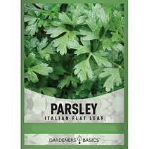이탈리안 파슬리씨앗 허브 이태리 파슬리 씨 종자, 루