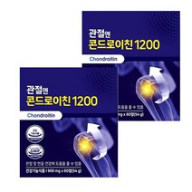 관절엔콘드로이친1200 무릎 팔목 지성 영양제, 9개