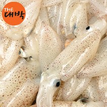 국내산 호래기 1kg 꼴뚜기 횟감 숙회, 호래기(생물) 1kg