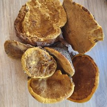지리산약초스토리 뽕나무 상황버섯 1kg 자연산 국내산 차, 1개