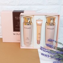 코리아나 위네이지 리치 스킨케어 2종 세트 기초세트, 1개