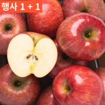 1+1 2박스 (5KG 대과 10-14과내외) 국내산 꿀당도 껍질째먹는 저농약 특품 사과 10KG