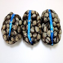 일등농수산 벌교꼬막 소 2kg