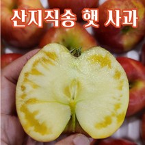 [산지 직송] 햇 부사 사과 새콤 달콤 과즙 팡팡, 2.가정용 5KG 소꼬마과 (29-33과)