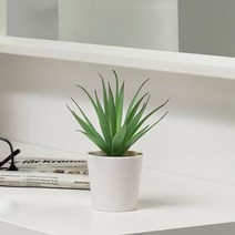 이케아 FEJKA 페이카 인조 다육 식물 화분 6cm 1P, 상세페이지 참조