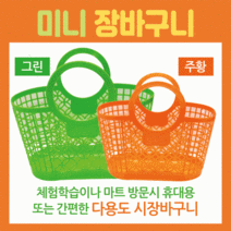 장바구니 미니장바구니/장바구니/미니시장바구니/마트바구니/유아용장바구니/목욕바구니, 미니장바구니(그린)