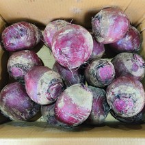 영호네농산물 제주도 레드비트 특품, 1box, 5kg