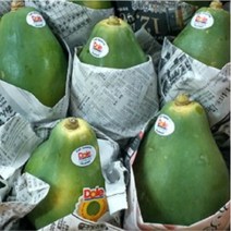 프리미엄 선물용 파파야2.5-4kg(대과 생과일), 1개, 파파야2.5kg(5과내외 대과)