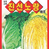 [가람종묘사] 진선노랑배추 씨앗(맛이 좋고 상품성이 뛰어난 포합형 노란배추 품종)