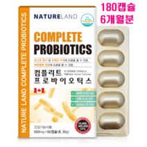 캐나다 비피도 박테리움 롱검 프롤린 모유 유산균 코면역 락토바실러스 가세리 17종 가루 분말 캡슐 LGG유산균 노즈케어 프로바이오틱스 프리바이오틱스 500억 장내유익균 생존, 180캡슐, 500mg