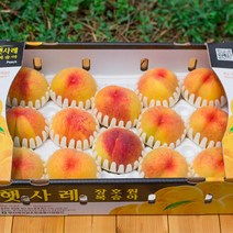 이천 장호원햇사레복숭아 2kg 3kg 감곡 딱딱이 말랑이복숭아 이시도로농원, 1개, 황도복숭아2kg 5~6과