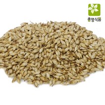 국내산 맥아(대맥), 600g