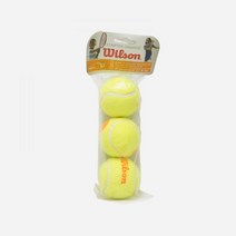 wilson 테니스공 챔피언쉽 엑스트라 투어 시합용 연습구 스탠다드 윌슨 테니스 WILSON, 01