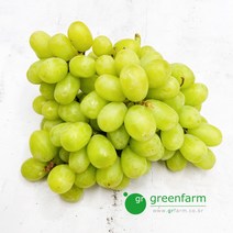 청포도 1kg 상태 B급, 1개