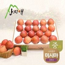 2022햇사과 알뜰 못난이사과(중과) 4.5kg 1box / 당도선별 미시마, 1개