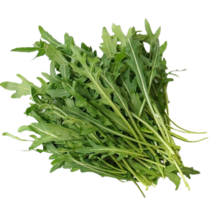 [특급] 싱싱한 와일드루꼴라 250g 500g 1kg 베이비루꼴라