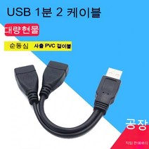 스노우드림 차량용 분선기용 듀얼 포트 USB 배선 충전 데이터 연장선, 0.3미터_투피스