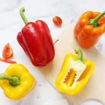 국내산 파프리카 1kg(5개내외), 단품