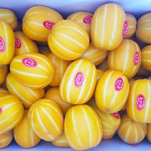 [ 따봉 ] 30년 전통 고당도 성주 꿀 참외 농사짓는 며느리 당도보장 농장직송, 08.참외 가정용흠과 / 대과 5kg