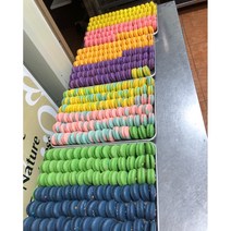 HACCP마카롱납품 뚱카롱납품 수제 마카롱 도매 대량주문 단일 마카롱 160개, 초코바닐라