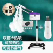 얼굴 스팀기 미스트 페이스 안면 피부 스티머 미용실 가정용 냉온 나노 더블 피부관리실, 대형 스프레이 삽 가죽 모델 이중 파이프 냉온 스