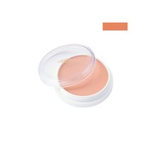 미쯔요시 그리스 페인트 컨실러 파운데이션 25P 수지 컨실러