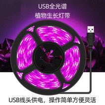 식물공장 조명 홈가드닝 썬라이크 수유등 취침등 선물 Chenghong Full Spectrum Duculent Color -Colored Anti -Apprentice Lighting Light Sunlight Room 번식 꽃 USB 식물 성장 조명, 방수 방수 기능이있는 USB 전체 스펙트럼 3m 램프