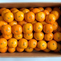제주 고당도 귤 5kg 10kg 당도높은 귤 한박스, 로얄과(S-M) 5kg