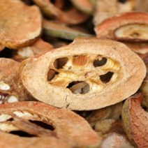 (그린내추럴) 국내산(경북 경산) (편)모과 300g, 1개