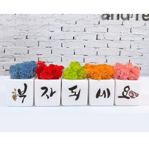 스마일컴퍼니 스칸디아모스 캘리그라피 화분세트 공기정화식물 선물 개업 집들이, 07_(가)_부자되세요 캘리모스 세트